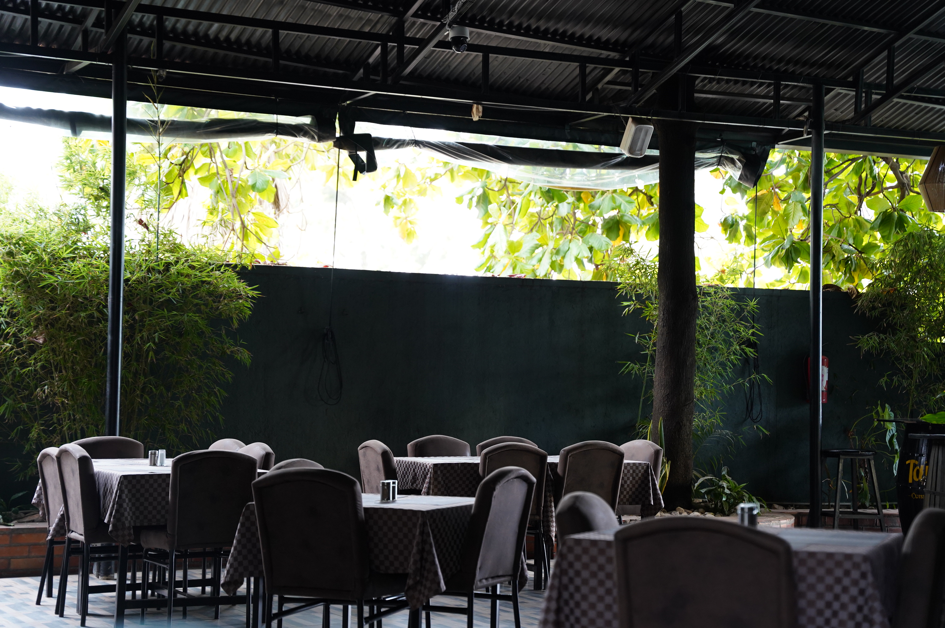 Tania's Cuisine & Lounge — photo 3