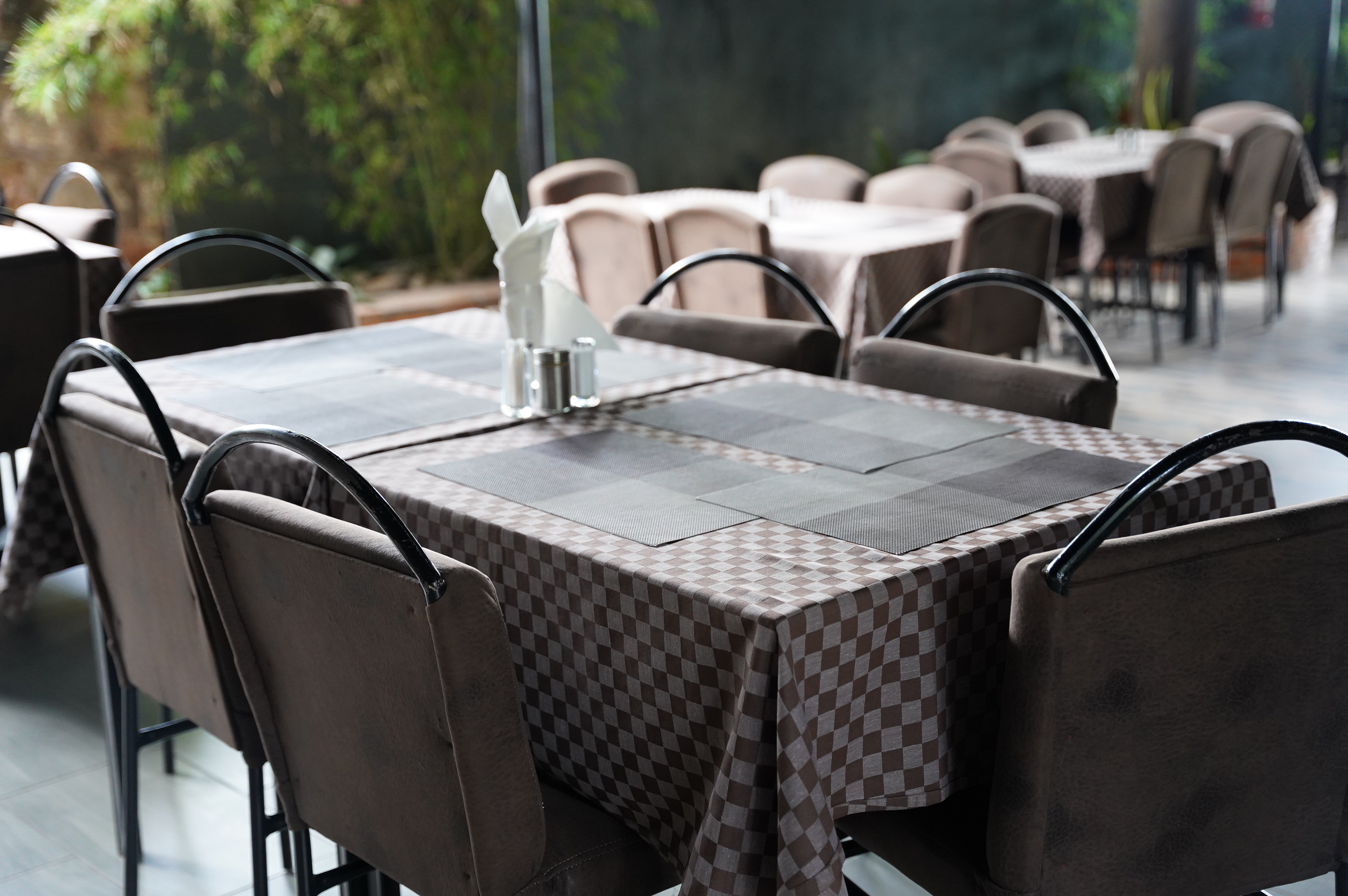 Tania's Cuisine & Lounge — photo 10
